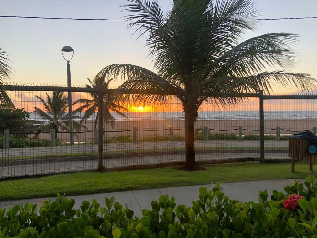 Maravilhoso Garden Imbassai Pe Na Areia Bahia Litoralアパートメント エクステリア 写真
