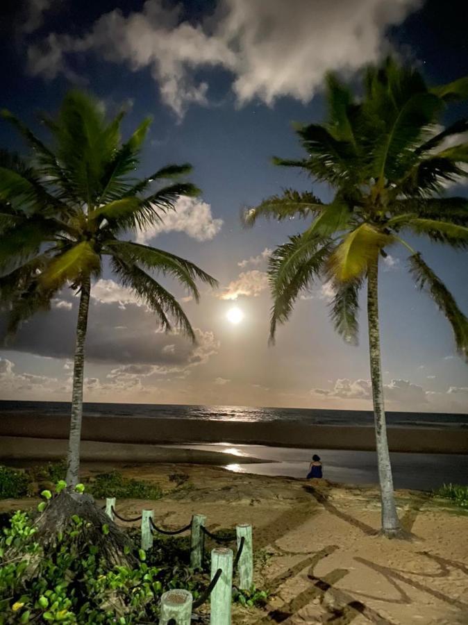 Maravilhoso Garden Imbassai Pe Na Areia Bahia Litoralアパートメント エクステリア 写真