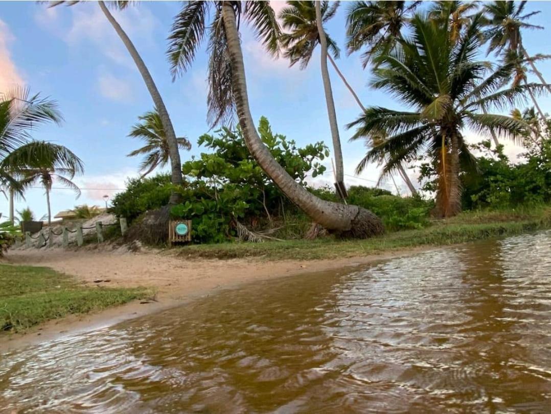 Maravilhoso Garden Imbassai Pe Na Areia Bahia Litoralアパートメント エクステリア 写真